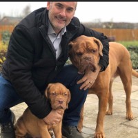 Birmingham City FC Employee Mike Rigg's profile photo