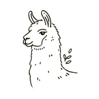 Galixir Employee Alan Li's profile photo