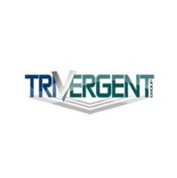 TriVergent Capital Group