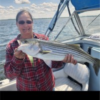 Omni Components Corp. Employee Judy Conrad's profile photo