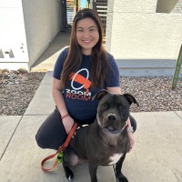 Zoom Room Dog Training Employee Kristen Gerzewski's profile photo