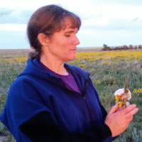 National Park Service Employee Tera Gray's profile photo