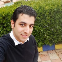 Ayman Ali Email