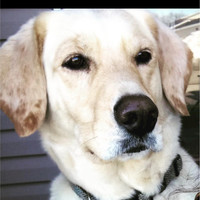 PerfX Wireline Services Employee Mike Chase's profile photo