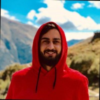 The University of Georgia (Tbilisi) Employee Davit Tinikashvili's profile photo
