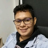 Nelson Mauricio Villamizar Pallares Email & Phone Number