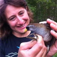 BC Parks Foundation Employee Sarah Nathan's profile photo