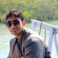 Sunit Roy Email
