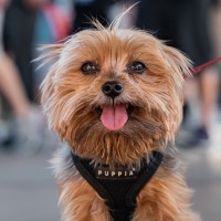 AMS Performance Employee Trevor Reiff's profile photo