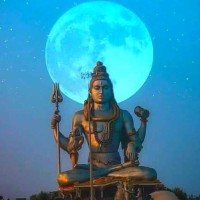 Anji T's profile photo