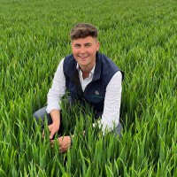 Velcourt Limited Employee Harry Goring's profile photo