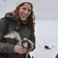 The Restaurant School at Walnut Hill College Employee Molly Wilson's profile photo