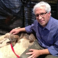 Jeff Rand Email & Phone Number