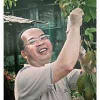 Ben Teo Email