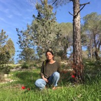 agrematch Employee Noa Levy's profile photo