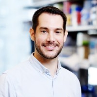 José Luis Marín-Rubio Email