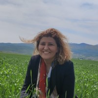 Eylem Soyluoglu Email