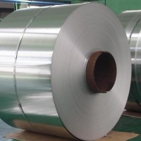 Jiangsusteel Group Co.,Ltd Employee Cathy Wang's profile photo