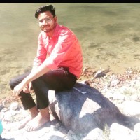 Monu Rajawat Email & Phone Number