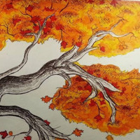 Grimm Tidings Employee Aidan Escalera's profile photo