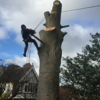 Arbsystem Employee Gillon Laidlaw's profile photo