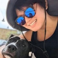 Lisa Li's profile photo