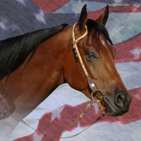 Animal Hero Alliance, Inc Employee Jase Smith's profile photo