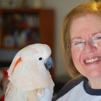 Sacred Heart of Jesus Catholic Church Employee Ellen Cook's profile photo
