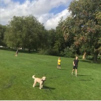 Glencar Employee Mark Bilbrough's profile photo