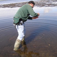 The Phoenix Environmental Group, Inc. Employee Mark Friedemann's profile photo