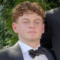 Peak Artificial Intelligence Employee David Maimon's profile photo