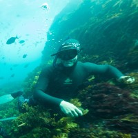 Live Ocean Racing Employee Blair Tuke's profile photo