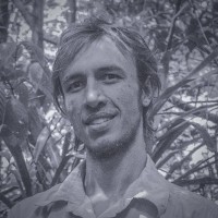Nucleário Employee Bruno do Amaral's profile photo