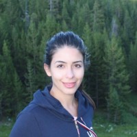 IDIN Consulting Group Employee Foroozan Akhavan's profile photo