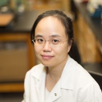 Aureka Biotechnologies, Inc. Employee Xi Wang's profile photo
