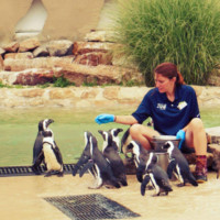 Lehigh Valley Zoological Society Employee Caitlin Keim's profile photo