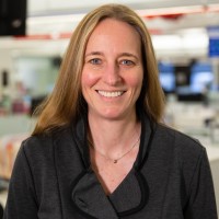 LiveIntent, Inc. Employee Tracy Wise's profile photo