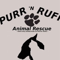 Purr Rescue