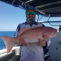 The Deckstore Employee Thomas Hogben's profile photo