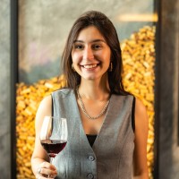 Ana Vasconcelos Email
