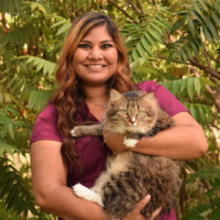 Tremont Animal Clinic Employee Ava Haglund's profile photo