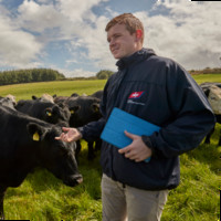 ABP Food Group Employee Stephen Connolly's profile photo