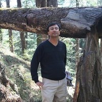 Inshorts Employee Joy Bandekar's profile photo