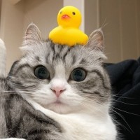 UniTalk Employee Yehor Telnov's profile photo