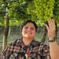 Frutas Doce Mel Employee Maria Deusdédite's profile photo