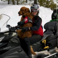 Olivia Roe Email & Phone Number