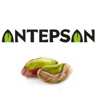 Antepsan Employee Nuts and Sweets's profile photo