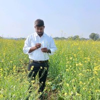 Super Seeds Employee Mallaiah Kongalla's profile photo