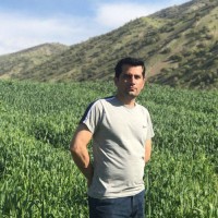 ZSA Employee Karim Bahari's profile photo
