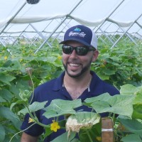 All American Produce Co. Employee Billy Augustine's profile photo
